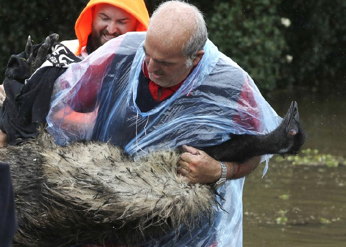 Australian east coast  rain to ease but  flooding continues