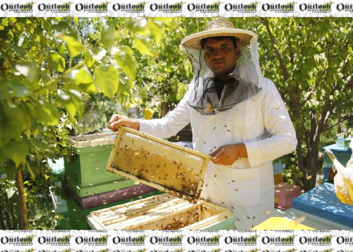 Last Year, about 2,500 Tons of Honey  Was Produced in The Country