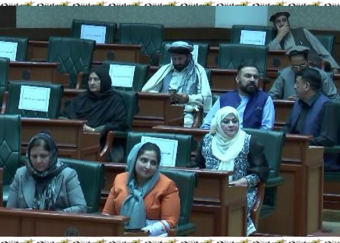 Afghan Senators Call for HCNR Approval of Unified Peace Proposal