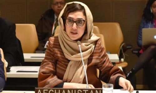 Afghans Need World’s Help More Than Ever: Raz