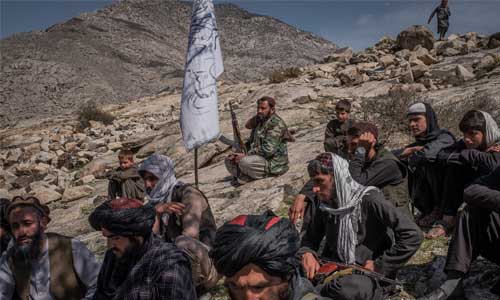 Why the Taliban Never Calms Down from Their  Dogmatic Position?