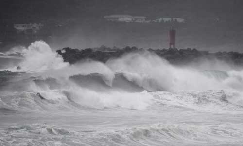 Typhoon Haishen Brings Strong Winds,  Power Outages to Japan