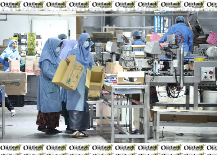 Three New Herat Factories Create 500 Jobs, Mostly for Women