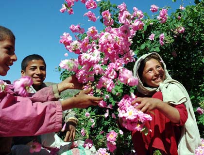 The Future of Afghanistan,  an Opportunity and a Responsibility for Youth