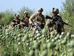 Drugs: Is Afghanistan the Sole R Responsible esponsible Countr Country?