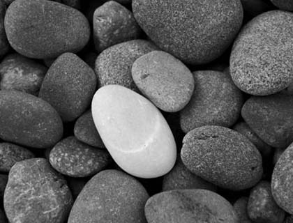 ADMIRING DIFFERENCES!