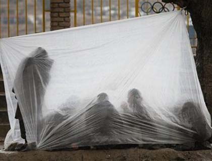 Shocking Statistics  on Drug Addicts 