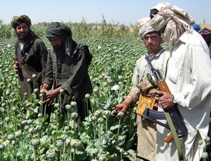 Insurgency and  Anti-Narcotics Campaign